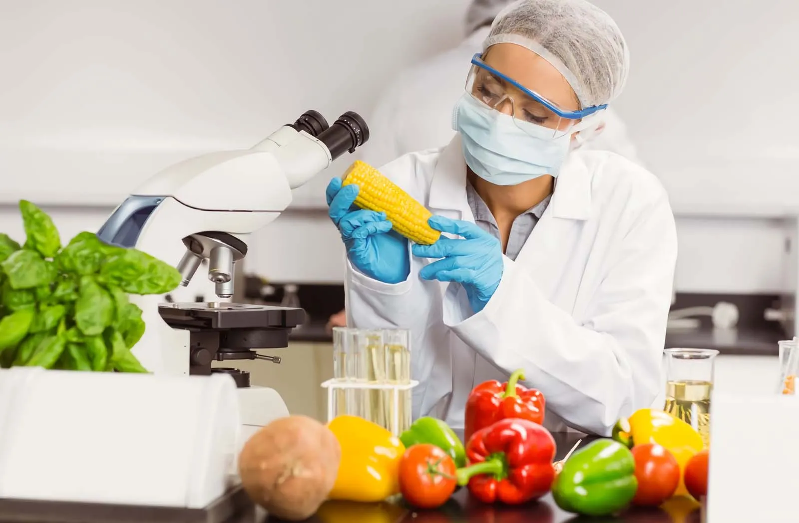 Food Safety Management System